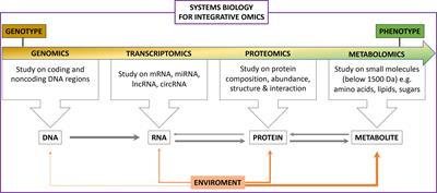 Editorial: Omics Solutions for Endocrine Disorders